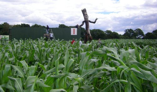 York Maze