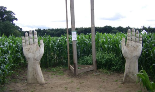 York Maze