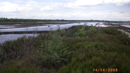Peat Bogs