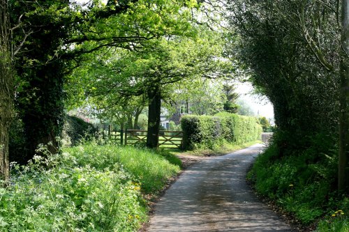 Hurst Green Lane