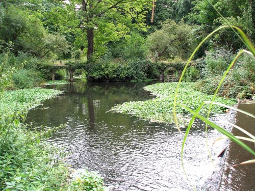 Morden Hall Park Water and Arches