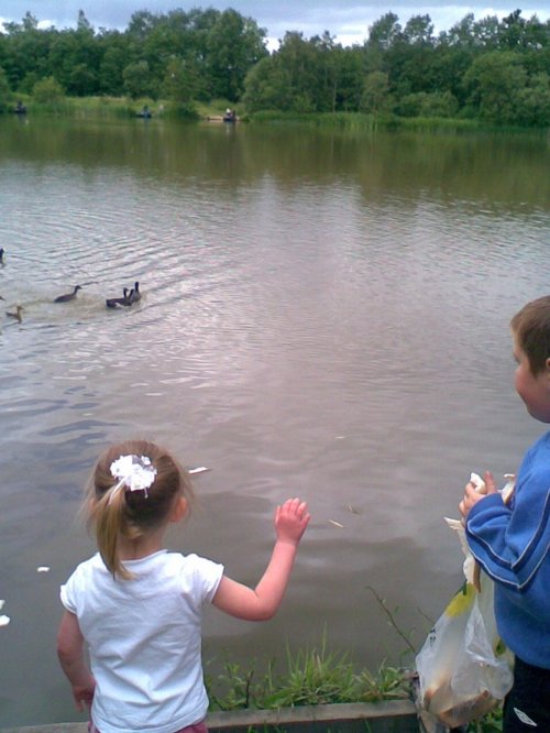 Feeding the ducks