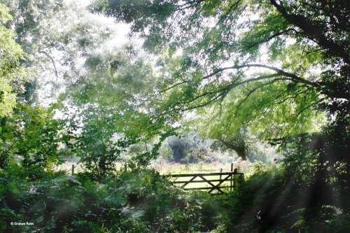 Shillingstone in Dorset