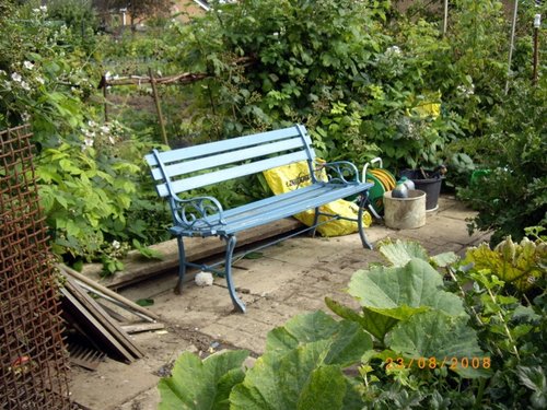 The Allotments