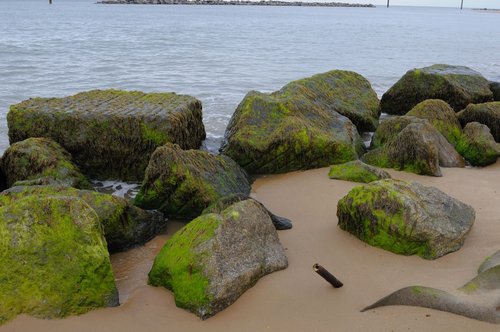 Rocks near Sea Palling