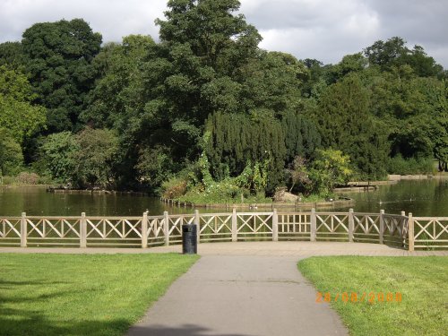 South Park, Darlington