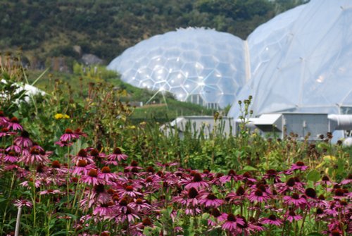 The Eden Project