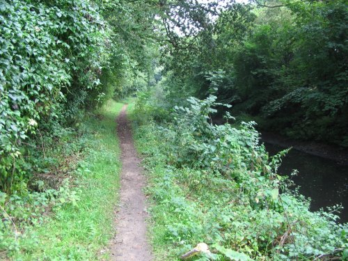 Basingstoke Canal Towpath