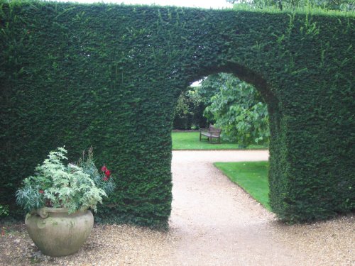 Yew Hedge Arch