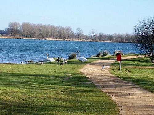 Whitlingham lake