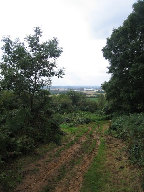A walk in Shotover Country Park, Oxford