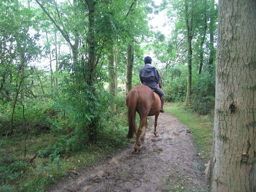 A walk in Shotover Country Park, Oxford