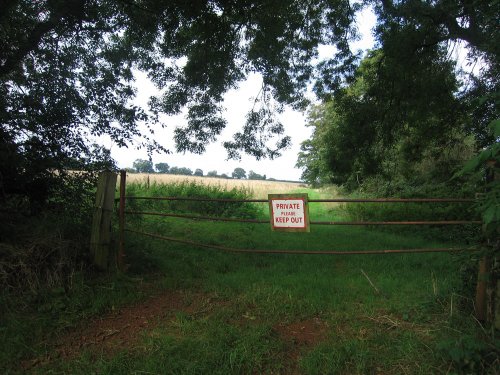 A walk in Shotover Country Park, Oxford