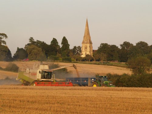 Overdue harvesting, Steeple Claydon, Bucks