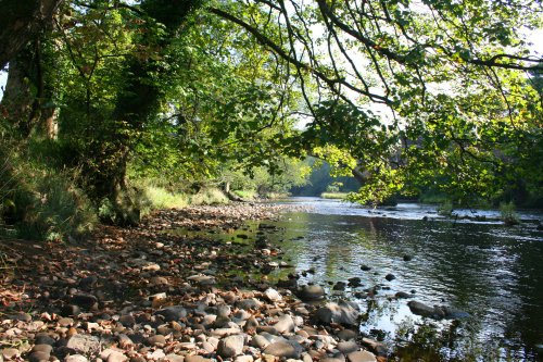 Along the River Hodder