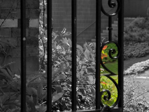 Grounds of my alma mater, Keble College, Oxford.