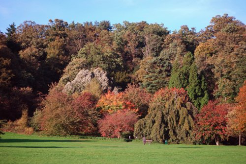 Autumn at Himley