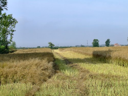 Arable farmland at Newport