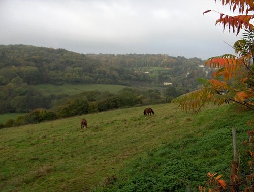 October view from Staples Hill