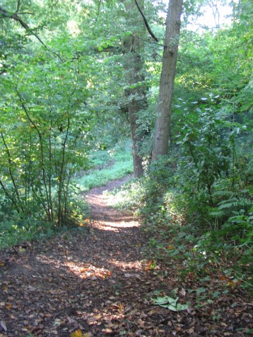 Leading to the Canal