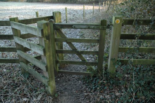 Stoke Park Wood, Dec 2005