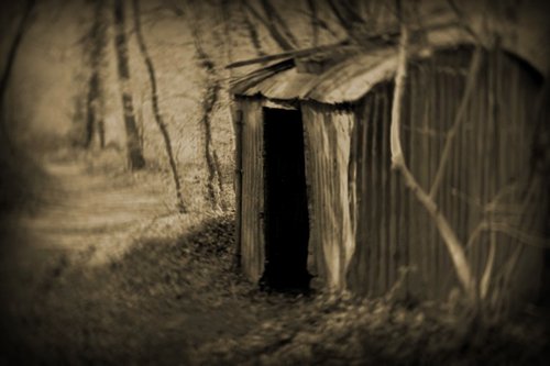 Hut in the woods