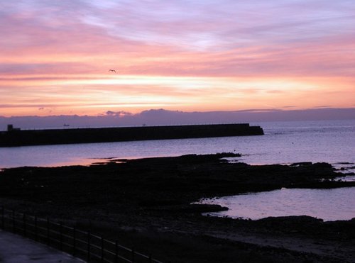 Nice light this morning