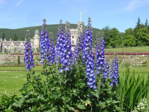 Balmoral Castle