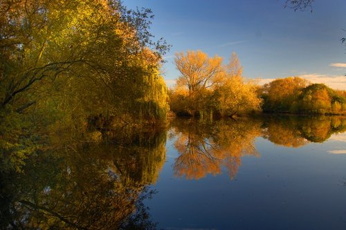 Lake reflections