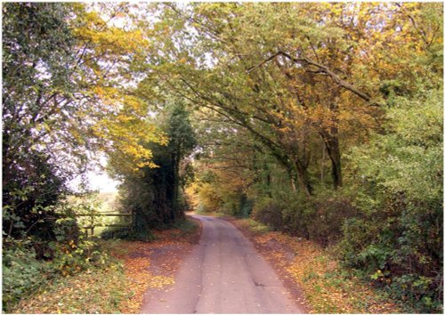 Sauncey Wood / Common Lane - Harpenden - Autumn 2008