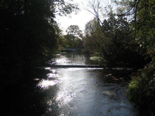 The River Wandle