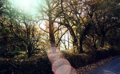 Views of County Cork