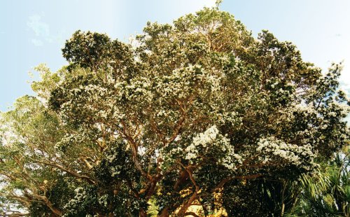 Views of County Cork