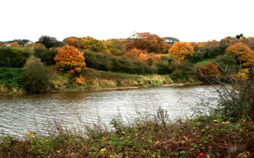 Riverside colours at the centre