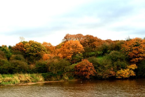 Riverside autumn colours at the centre