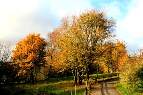 Autumn colours in the Wetlands Centre.