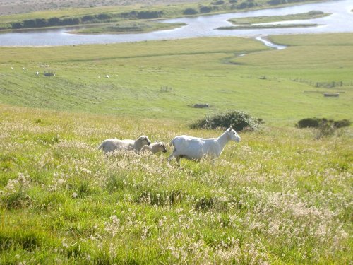The Seven Sisters, a relaxing view