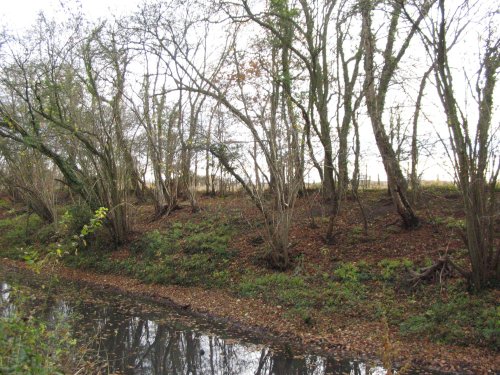 Basingstoke Canal