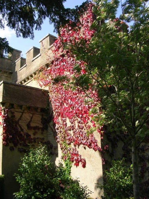 Tower at Ugbrooke House