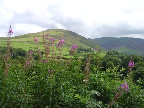 Whinlatter Pass