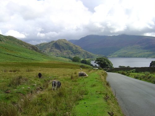 Near Buttermere