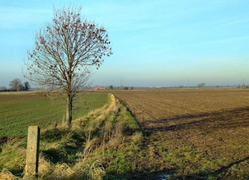 Looking north from the lane