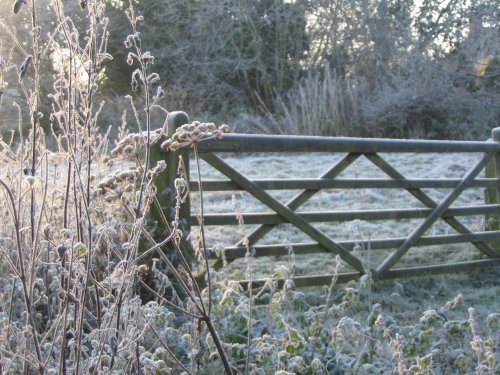 Early morning frost - 7.12.08
