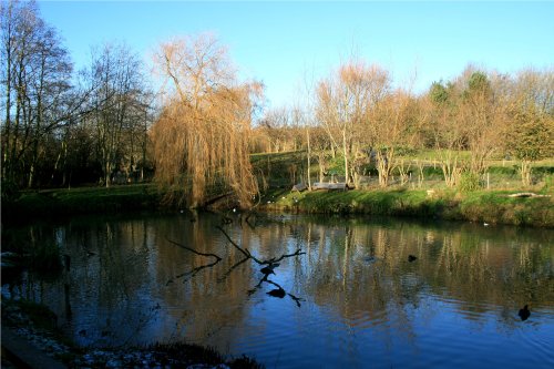 One of the ponds at the centre.