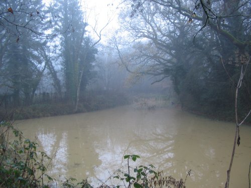 Foggy morning - 14.12.08