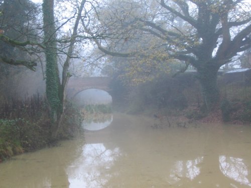 Foggy morning - 14.12.08