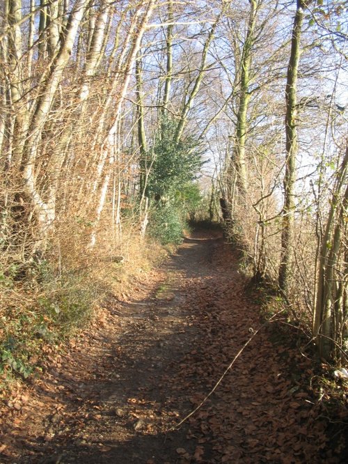 Walking around South Warnborough