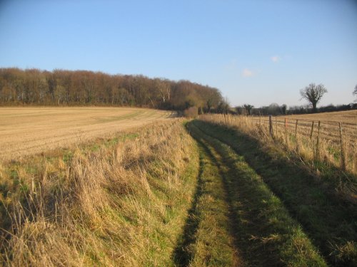 Walking around South Warnborough