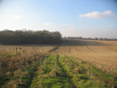 Walking around South Warnborough