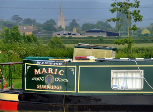 'Maric' at Slimbridge